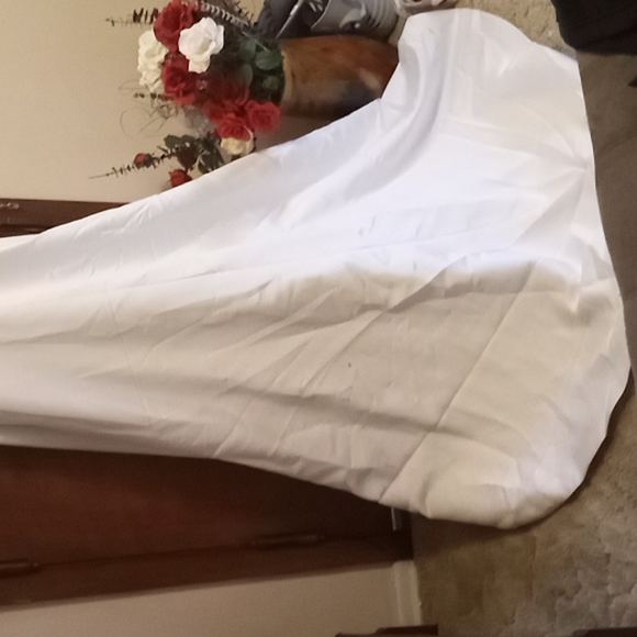 Demetrios Wedding Gown - Picture 4 of 8